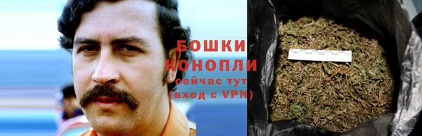 ГАЛЛЮЦИНОГЕННЫЕ ГРИБЫ Аркадак