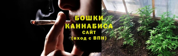 ГАЛЛЮЦИНОГЕННЫЕ ГРИБЫ Аркадак
