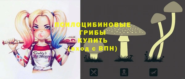 крисы Армянск