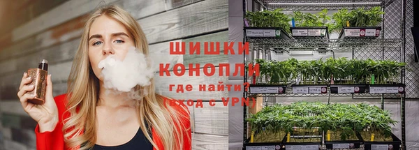 ГАЛЛЮЦИНОГЕННЫЕ ГРИБЫ Аркадак