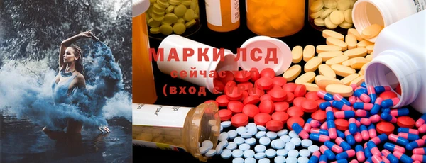 ГАЛЛЮЦИНОГЕННЫЕ ГРИБЫ Аркадак