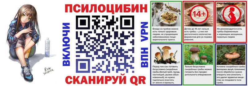 кракен как зайти  Приморско-Ахтарск  Галлюциногенные грибы прущие грибы  магазин продажи наркотиков 